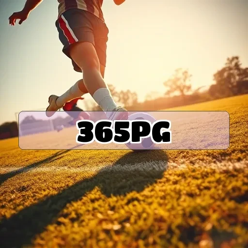 365pg.com Suporte